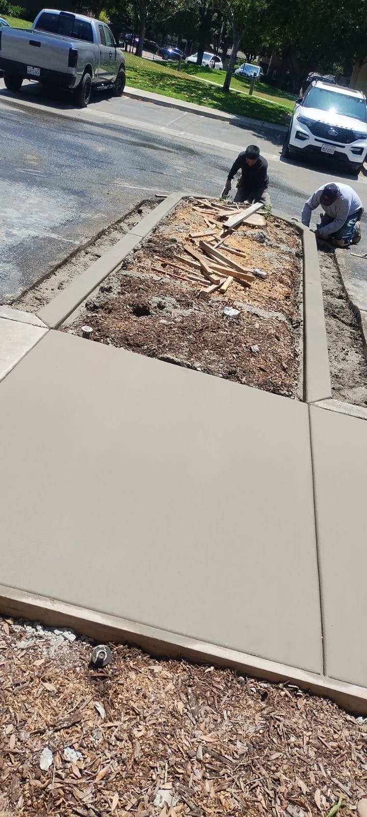 Crew replacing a public sidewalk panel and tree well with new broom-finished concrete